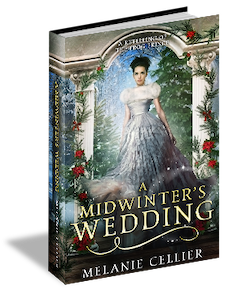 amidwinterswedding2